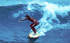 surfer.gif